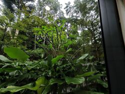 Verdale (D21), Apartment #603672521